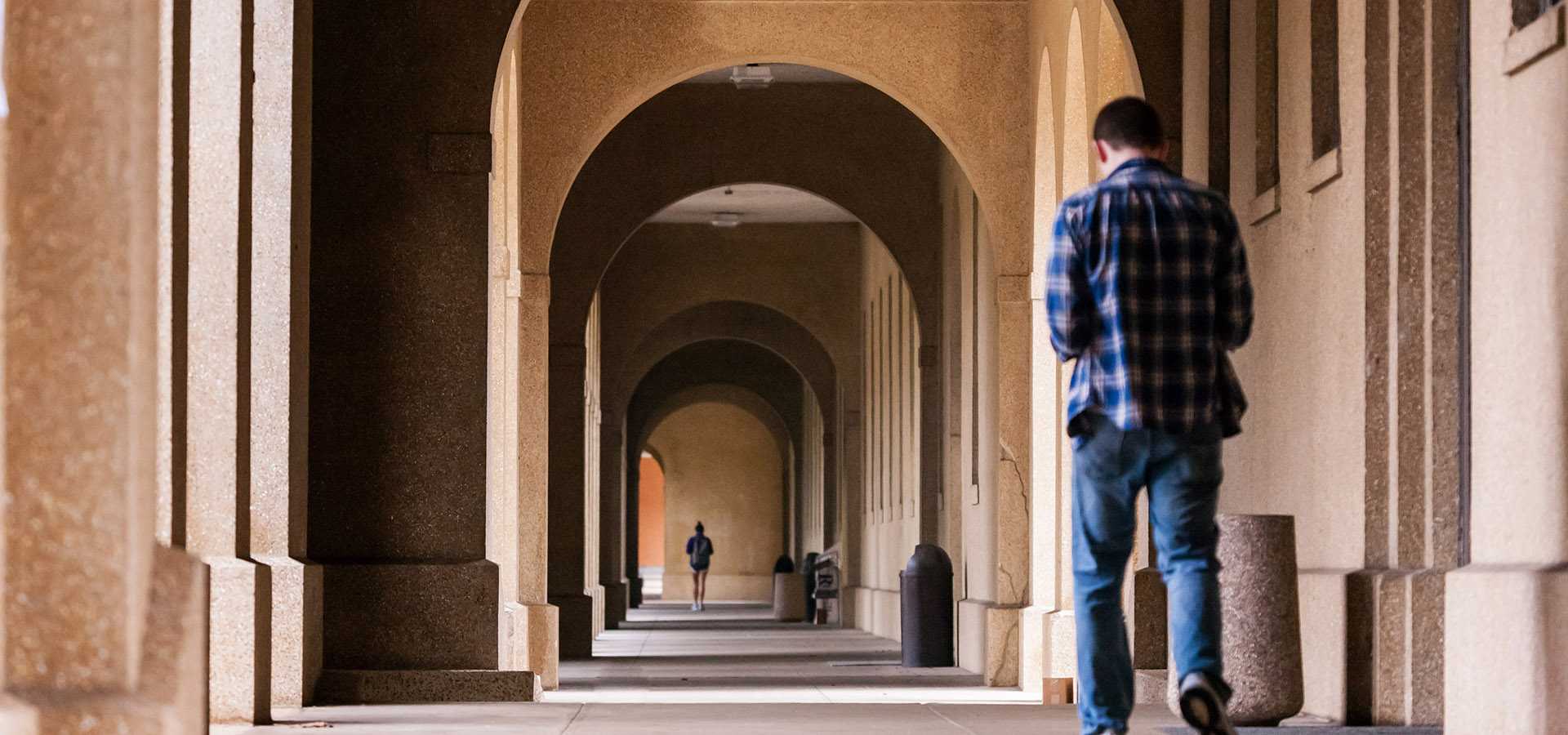 Louisiana State University (LSU) Colonnade with students walking by